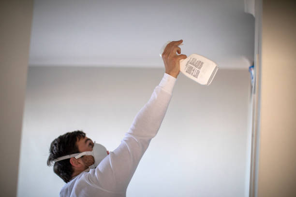Best Professional Mold Removal  in Veneta, OR