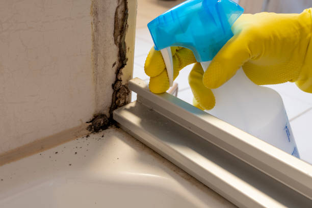 Best Crawl Space Mold Removal  in Veneta, OR