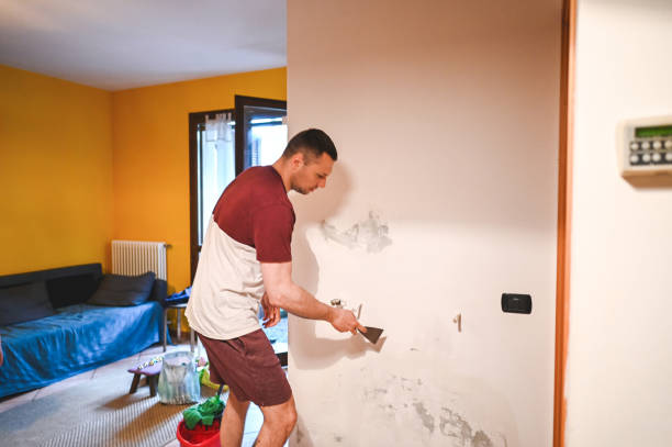 Best Affordable Mold Removal  in Veneta, OR