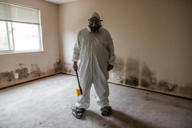 Best Emergency Mold Removal  in Veneta, OR